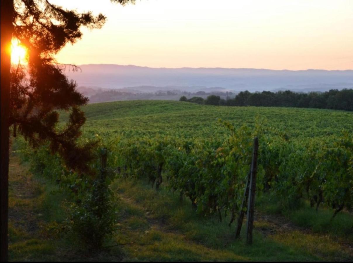 Agriturismo Fattoria Il Piano - Appartamento Focolare - San Gimignano Buitenkant foto