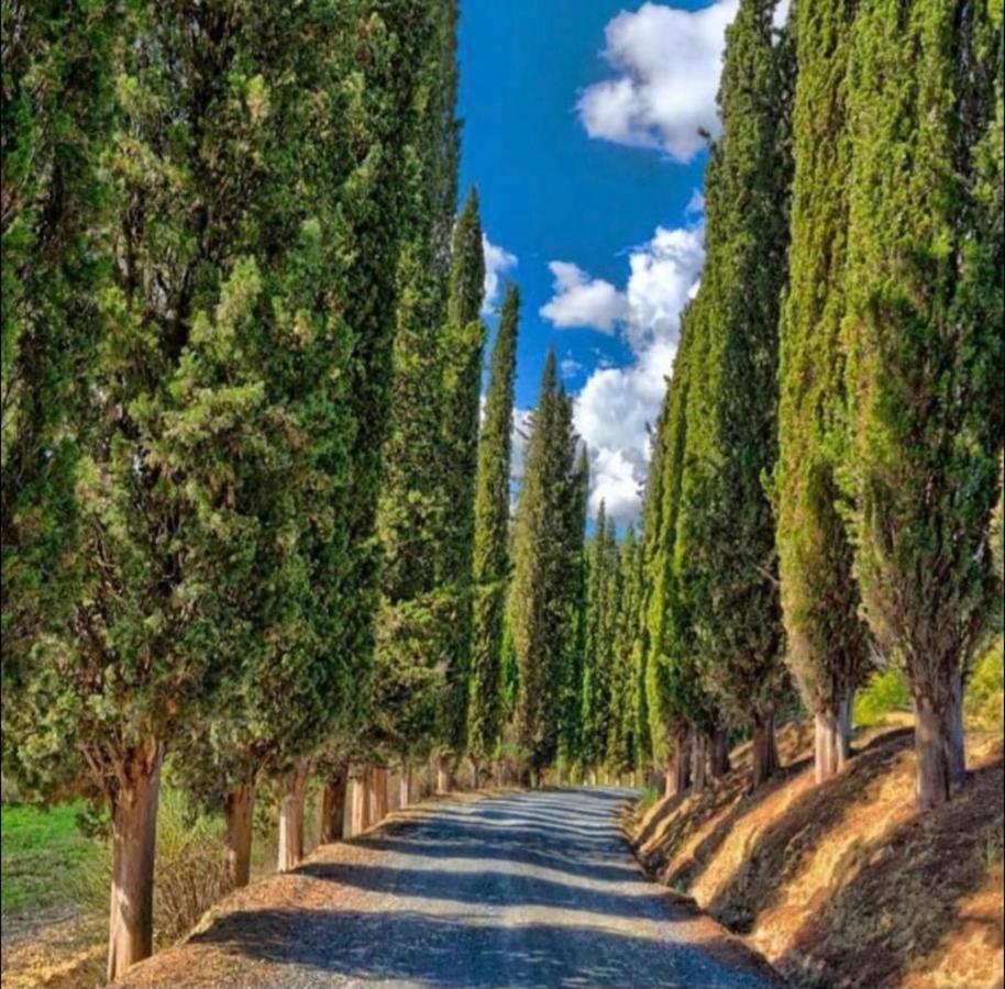 Agriturismo Fattoria Il Piano - Appartamento Focolare - San Gimignano Buitenkant foto