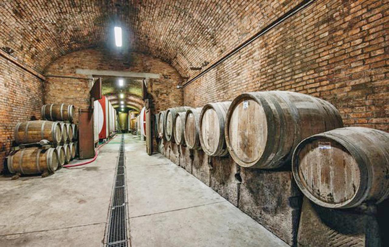 Agriturismo Fattoria Il Piano - Appartamento Focolare - San Gimignano Buitenkant foto