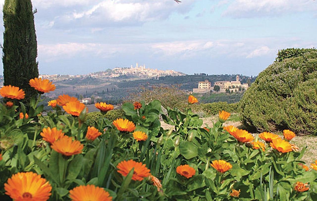 Agriturismo Fattoria Il Piano - Appartamento Focolare - San Gimignano Buitenkant foto